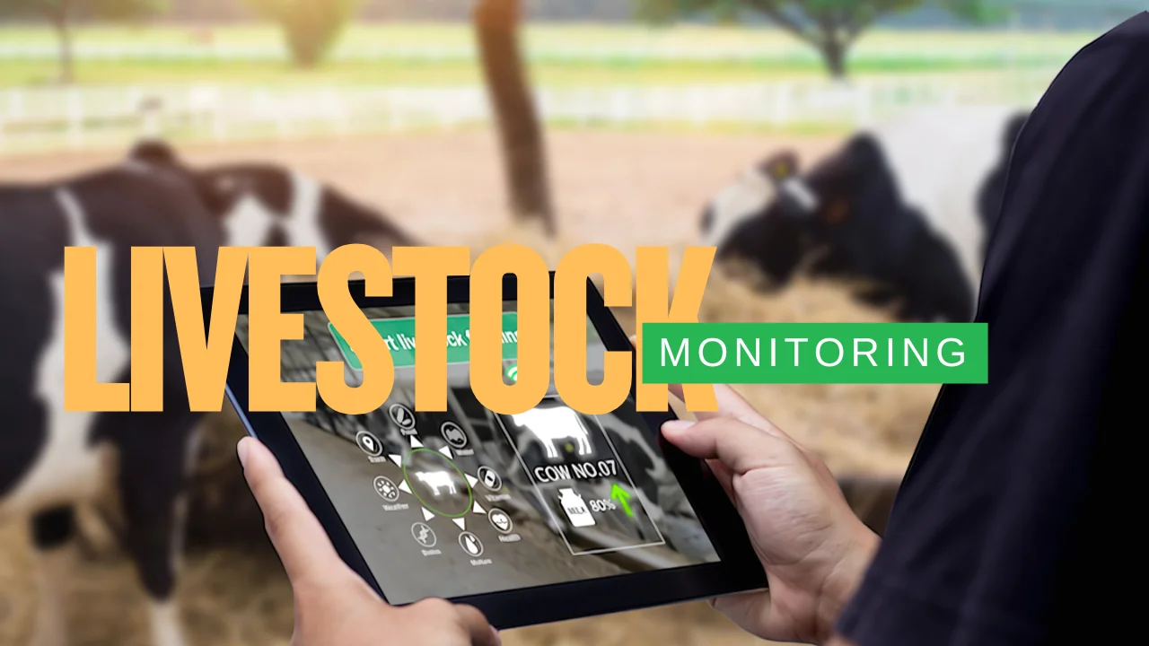Livestock Monitoring Made Smarter: How Cutting-Edge Technology is Revolutionizing Farming